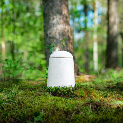 Loop earthrise urn