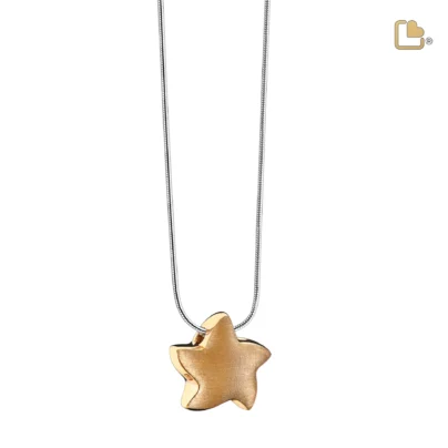 Ashanger Ster/Loveurns (inclusief ketting)