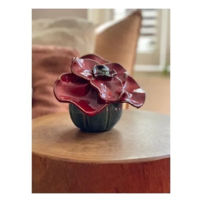 Klaproos mini urn