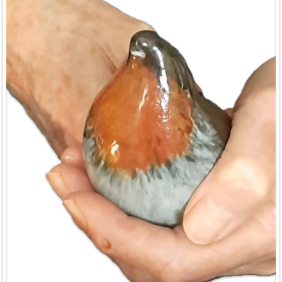Koestervogeltje