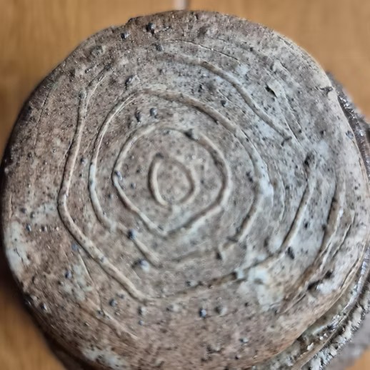 urn levenslang - Afbeelding 2